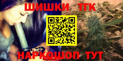 гашик Тулун