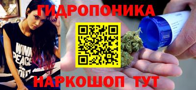 гашик Тулун